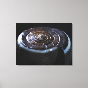 Kone schelp canvas afdruk