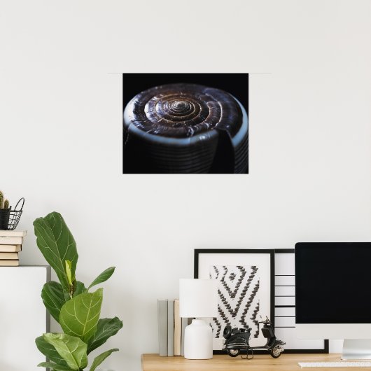 Kone schelp poster (Thuiskantoor)