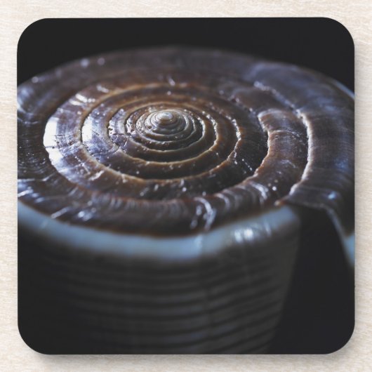 Kone shell drankjes onderzetter (Voorkant)