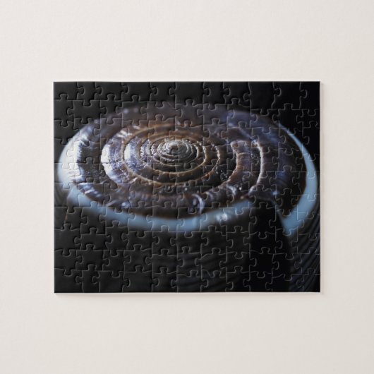 Kone shell legpuzzel (Horizontaal)