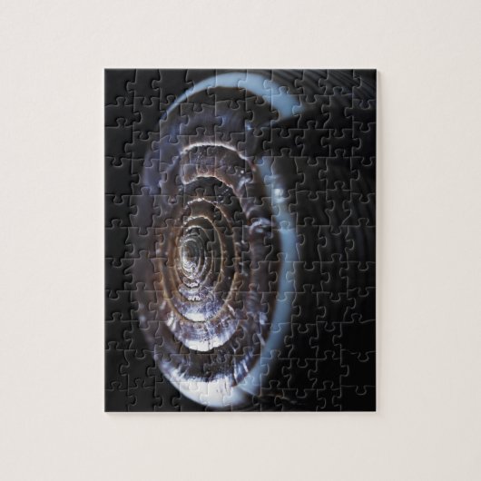 Kone shell legpuzzel (Verticaal)