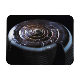 Kone shell magneet