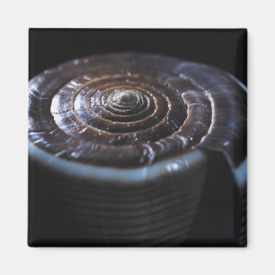 Kone shell magneet