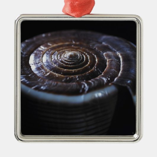 Kone shell metalen ornament (Voorkant)