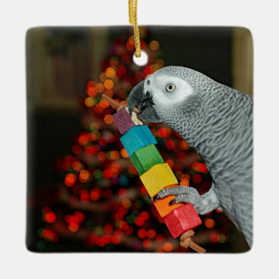 Kongo Afrikaanse Grijze Papegaai Vrolijk Kerstboom Keramisch Ornament