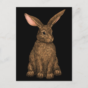 konijn 3 briefkaart