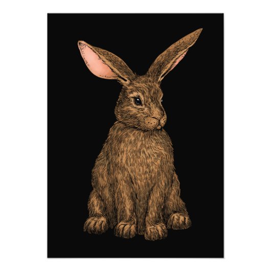 konijn 3 foto afdruk (Voorkant)