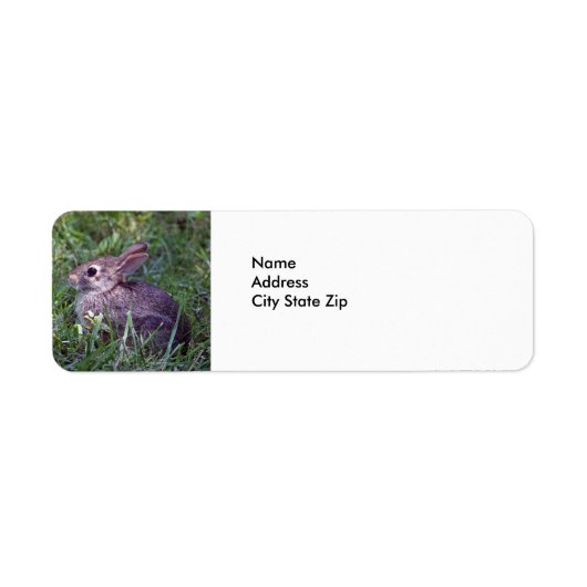 Konijn 8603 etiket (Voorkant)