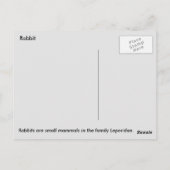 Konijn (A) Briefkaart (Achterkant)