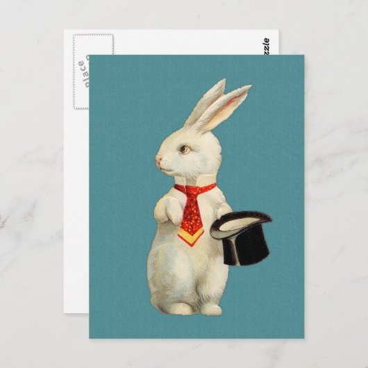  konijn briefkaart (Voorkant / Achterkant)