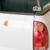 konijn bumpersticker (Op Truck)