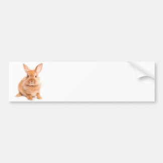 konijn bumpersticker