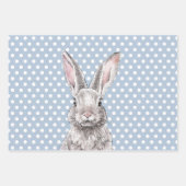 Konijn Bunny Happy Easter Eggs Leuke Dierenpastel Inpakpapier Vel (Voorkant)