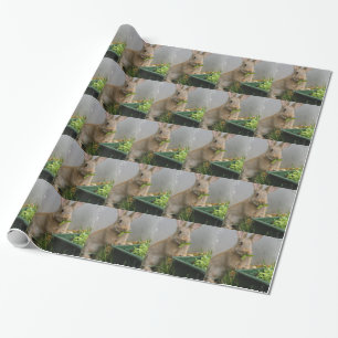 konijn cadeaupapier