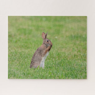 Konijn dat in het gras staat en verlegen kijkt legpuzzel