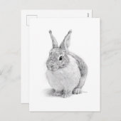 konijn feestdagenkaart (Voorkant / Achterkant)