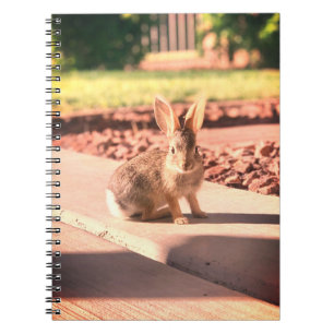 konijn foto Pasen lente Notitieboek