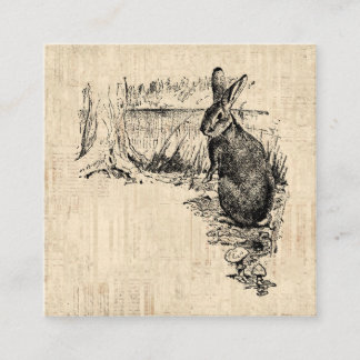  konijn geïllustreerd Bunny Art Informatiekaartje