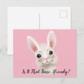 Konijn Groeten Briefkaart (Voorkant / Achterkant)