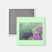 Konijn in de tuin magneet (Voorkant / Achterkant)