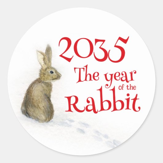 Konijn in het sneeuwjaar van het konijn ronde sticker (Voorkant)