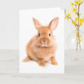 konijn kaart (Gele Bloem)