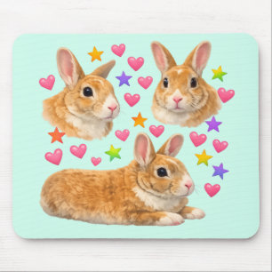 konijn kawaii cute regenboog huisdier mama muismat