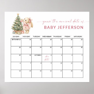 Konijn Kerstmis Raad de Aankomstdatum Baby Shower Poster