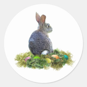 Konijn met gekleurde eieren in Lichen Ronde Sticker
