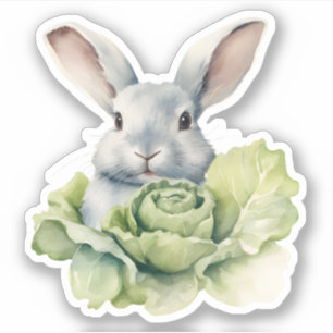 Konijn met kool sticker