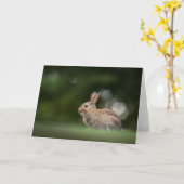Konijn Natuur Foto Kaart (Gele Bloem)