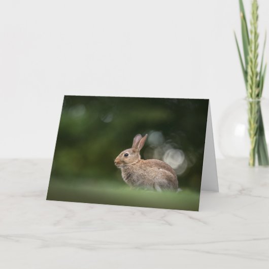 Konijn Natuur Foto Kaart (Voorkant)