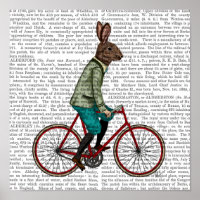 Konijn op bike