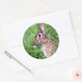 konijn ronde sticker (Envelop)