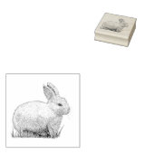 konijn 	rubberstempel (Gestempeld)