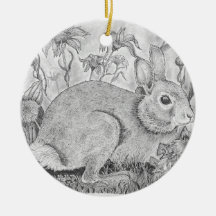 Konijn rust tussen wilde bloemen