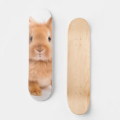 konijn skateboard (Voorkant)