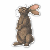 konijn sticker (Voorkant)