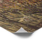 Konijn tussen de Fairies, feiën Poster (Hoek)