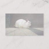 konijn visitekaartje (Achterkant)