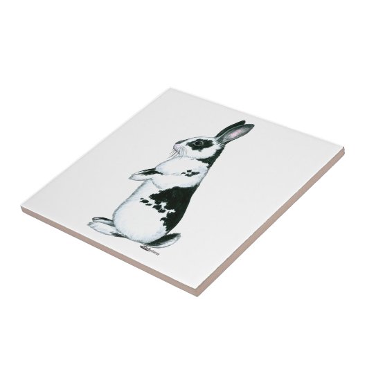 Konijn: Zwart en wit Tegeltje (Zijkant)