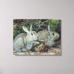 Konijnen Canvas Afdruk
