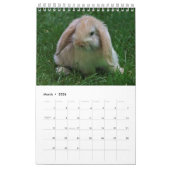 Konijnen en hazen kalender (Mar 2026)
