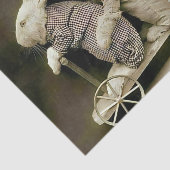  konijnen en katten op de Speelgoed scooter Tissuepapier (Detail)