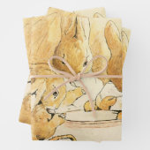 Konijnen en Melkpudding door Beatrix Potter Inpakpapier Vel (In situ)