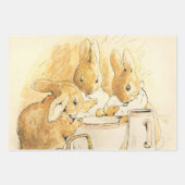 Konijnen en Melkpudding door Beatrix Potter Inpakpapier Vel (Voorkant)