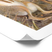 Konijnen in de veldindruk poster (Hoek)