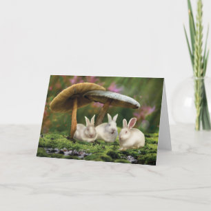 Konijnen in Wonderland (Konijnen & paddenstoelen k Kaart