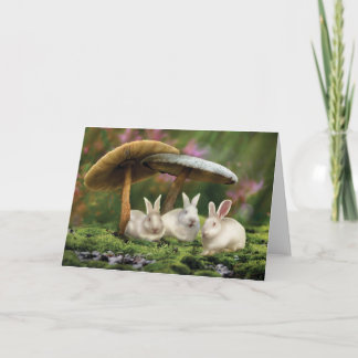 Konijnen in Wonderland (Konijnen & paddenstoelen k Kaart
