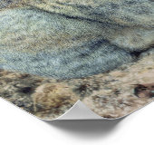 Konijnen Poster (Hoek)